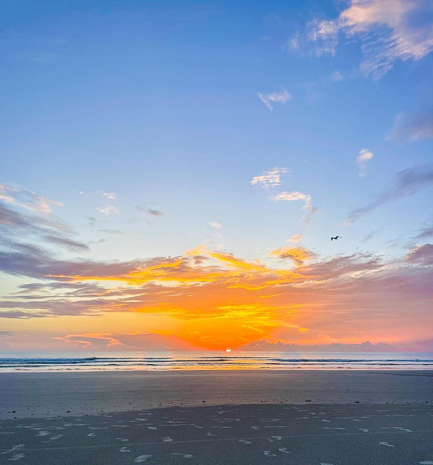 Oceanwalk 1-401 Villa New Smyrna Beach Luaran gambar
